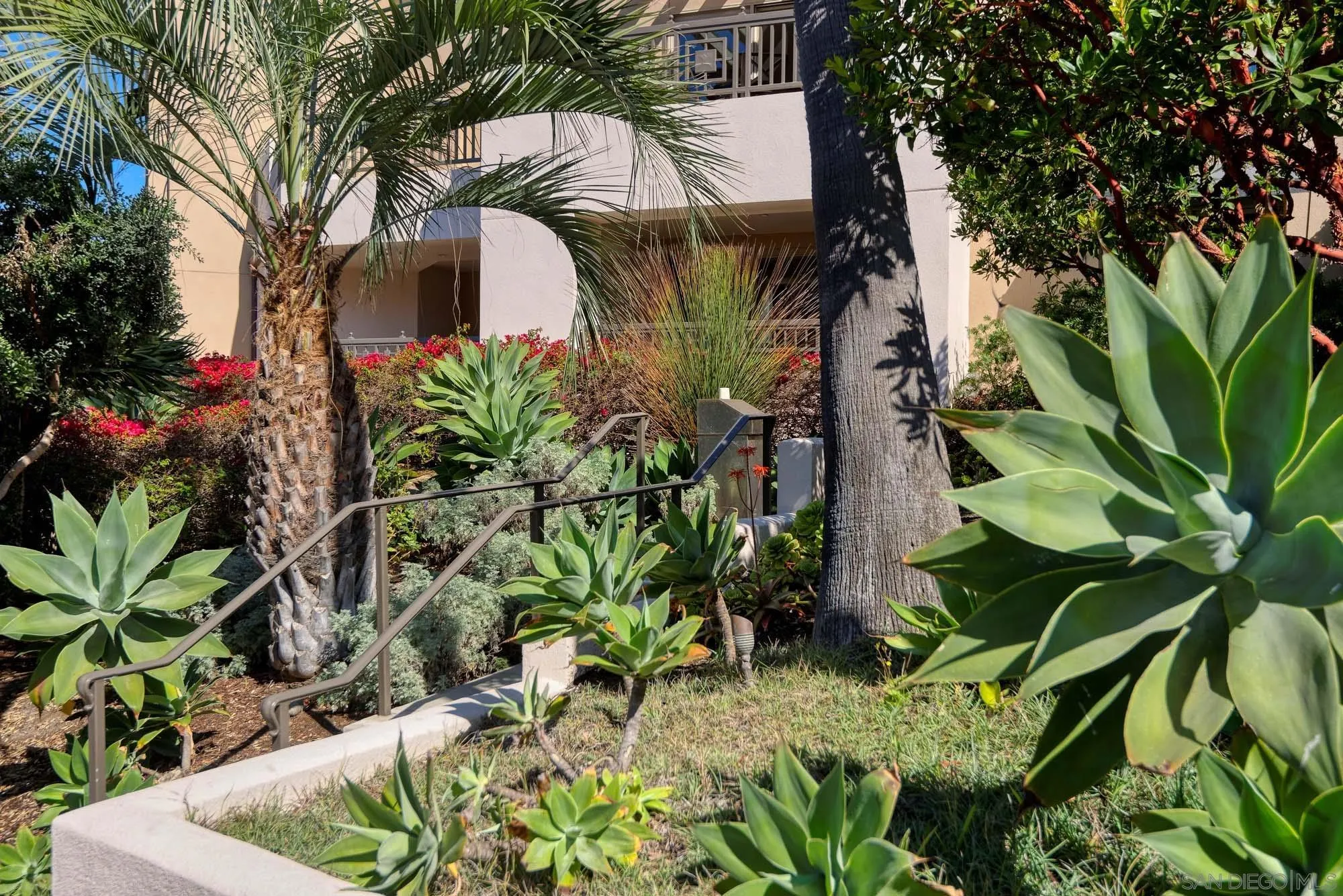 464 Prospect Street, Unit 101 La Jolla, CA 92037 - Photo 30 of 43 a view of a house with a plant