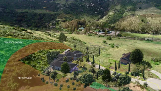 a view of a lush green forest with lots of trees