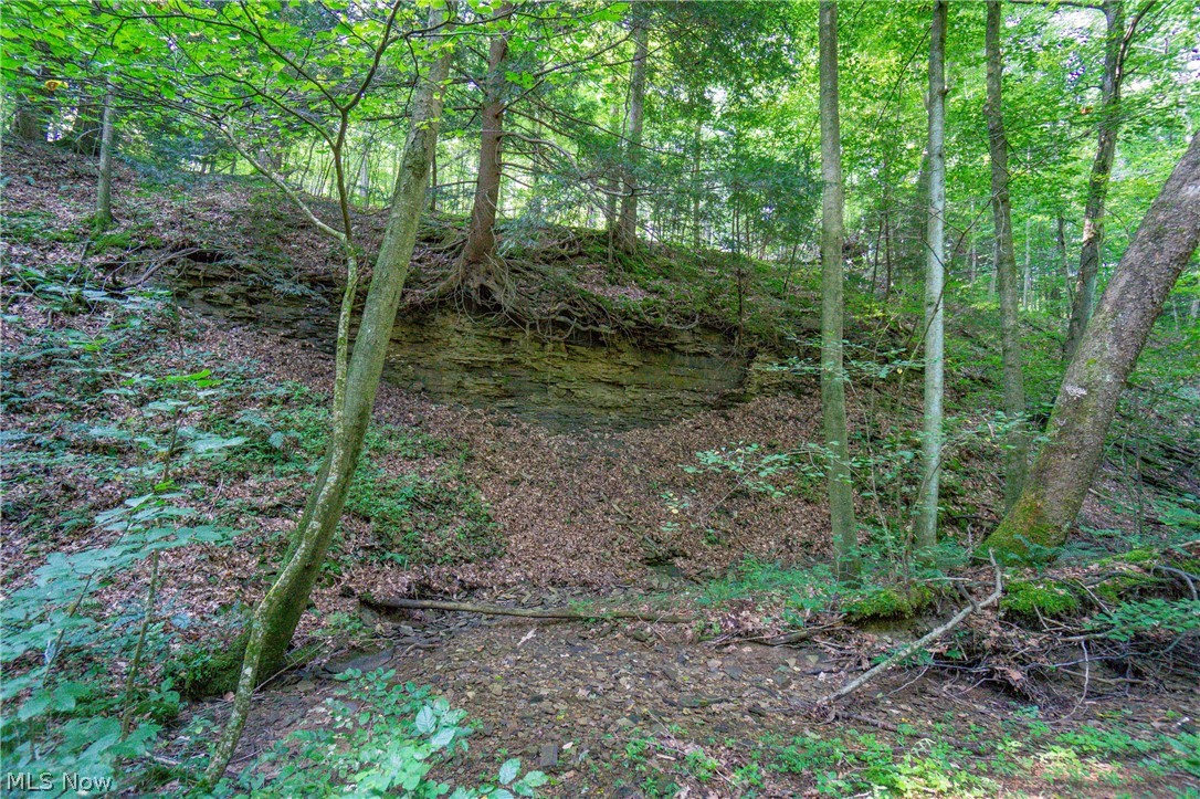 Fairview Road Creola, OH 45622 - Photo 12 of 23 Gallery Image 12