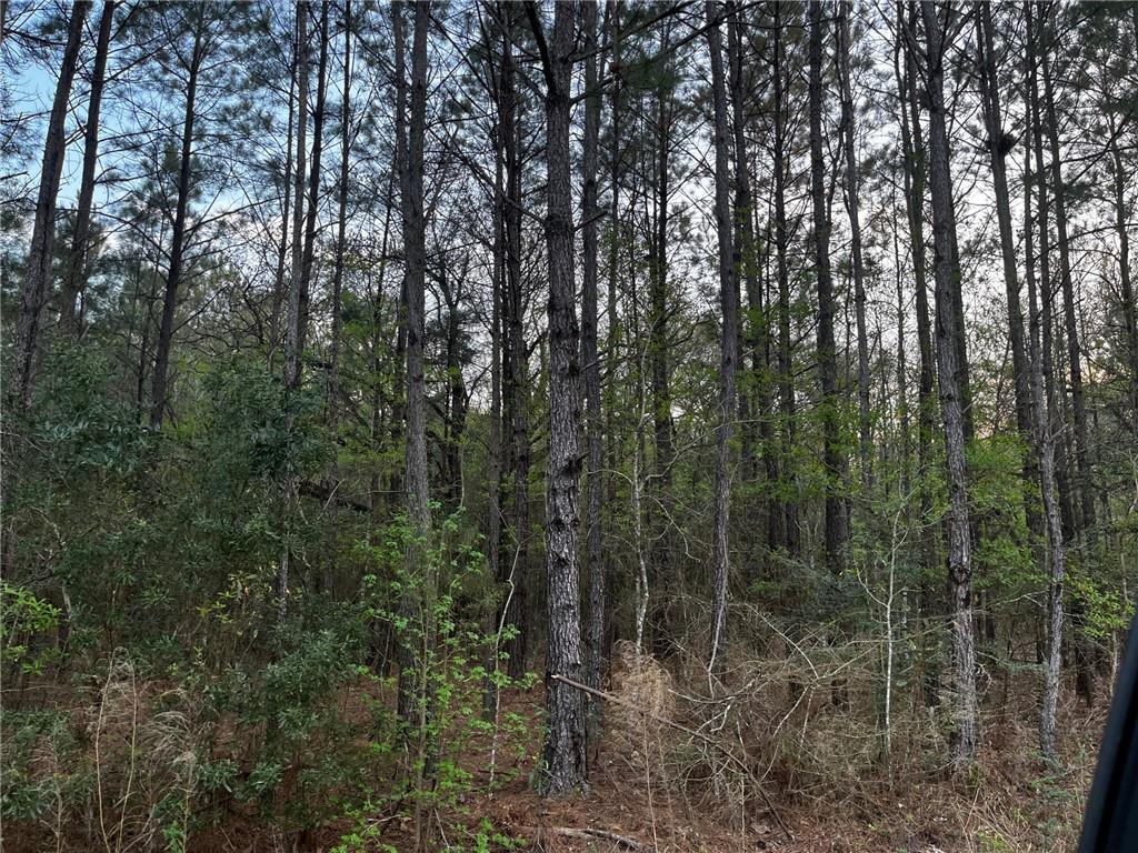 0 Eagle Road Covington, LA 70435 - Photo 3 of 4 Gallery Image 3