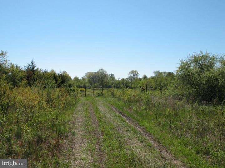 146 Alloway Road Woodstown, NJ 08098 - Photo 1 of 4