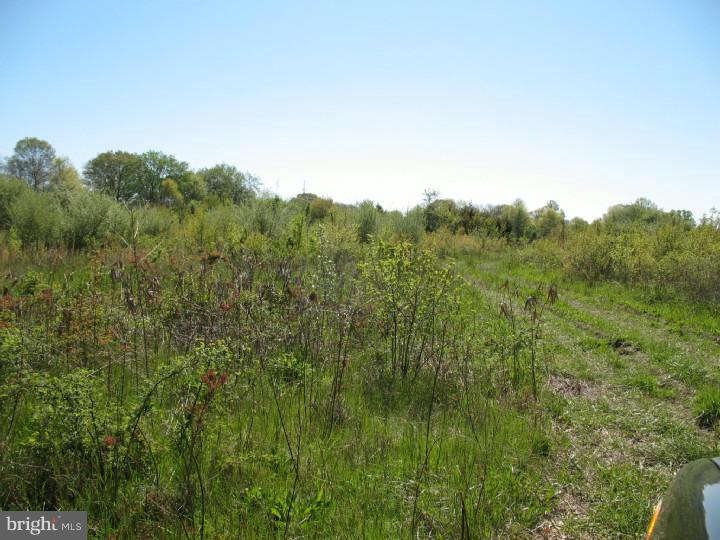 146 Alloway Road Woodstown, NJ 08098 - Photo 2 of 4