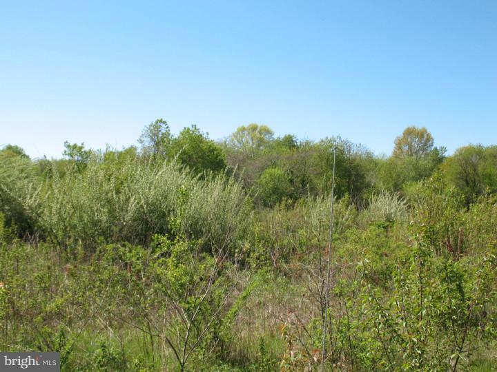 146 Alloway Road Woodstown, NJ 08098 - Photo 4 of 4