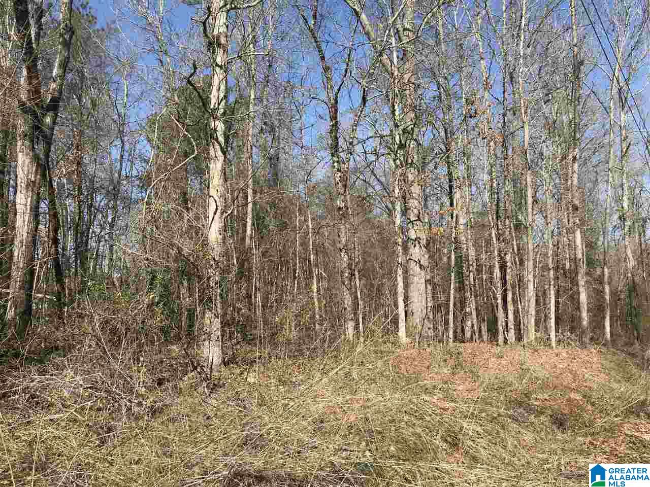 8020 Stemley Bridge Road, Unit PARCEL Talladega, AL 35160 - Photo 3 of 6