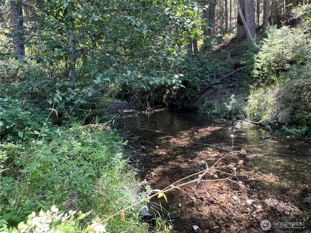 a view of a lake with lots of trees