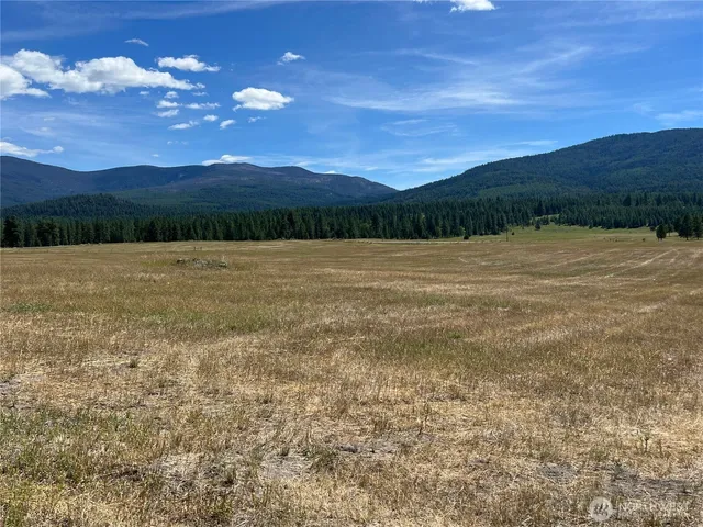 a view of lake and mountain