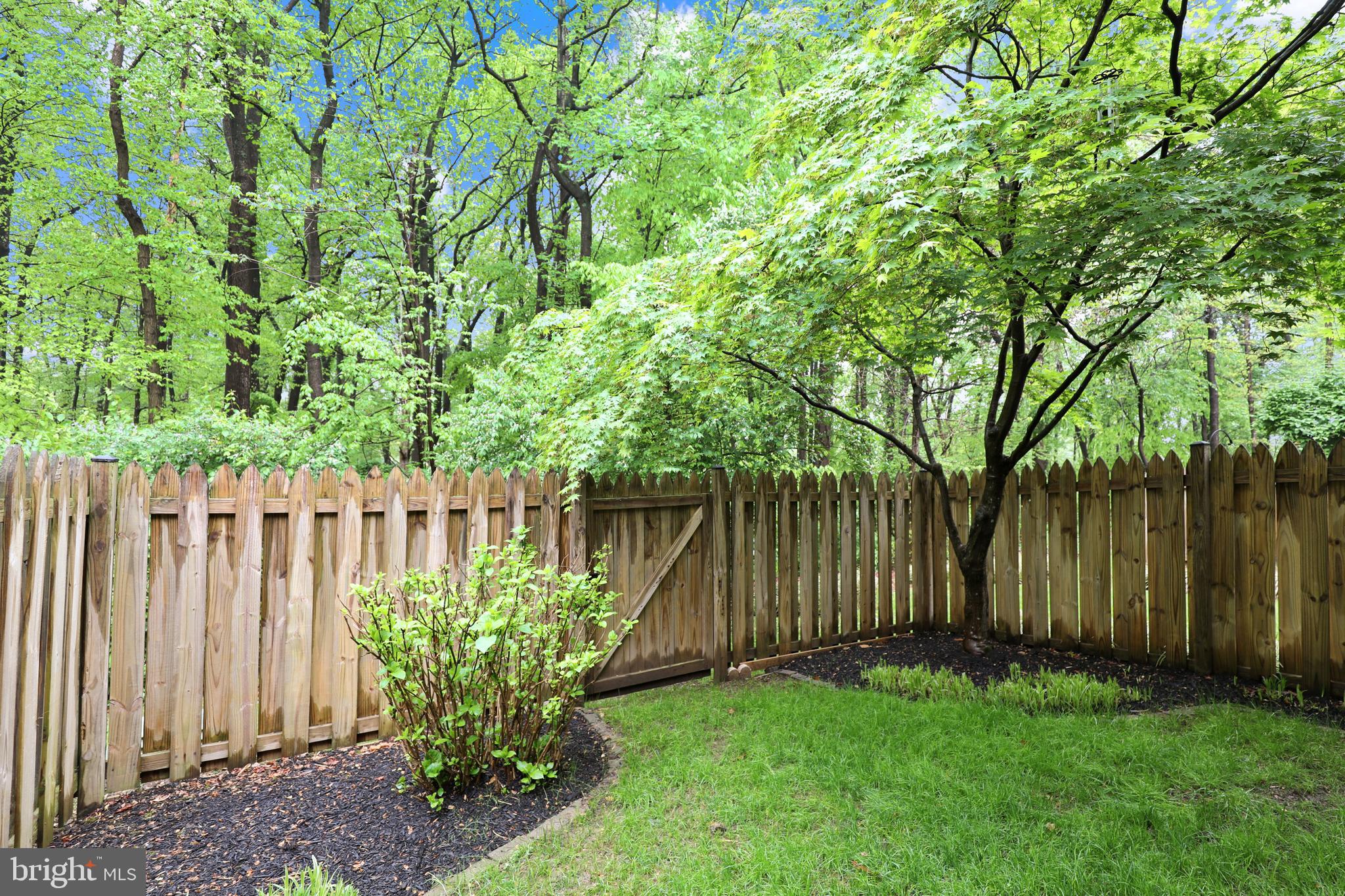 7216 Greentree Road Bethesda, MD 20817 - Photo 31 of 43 Gallery Image 31