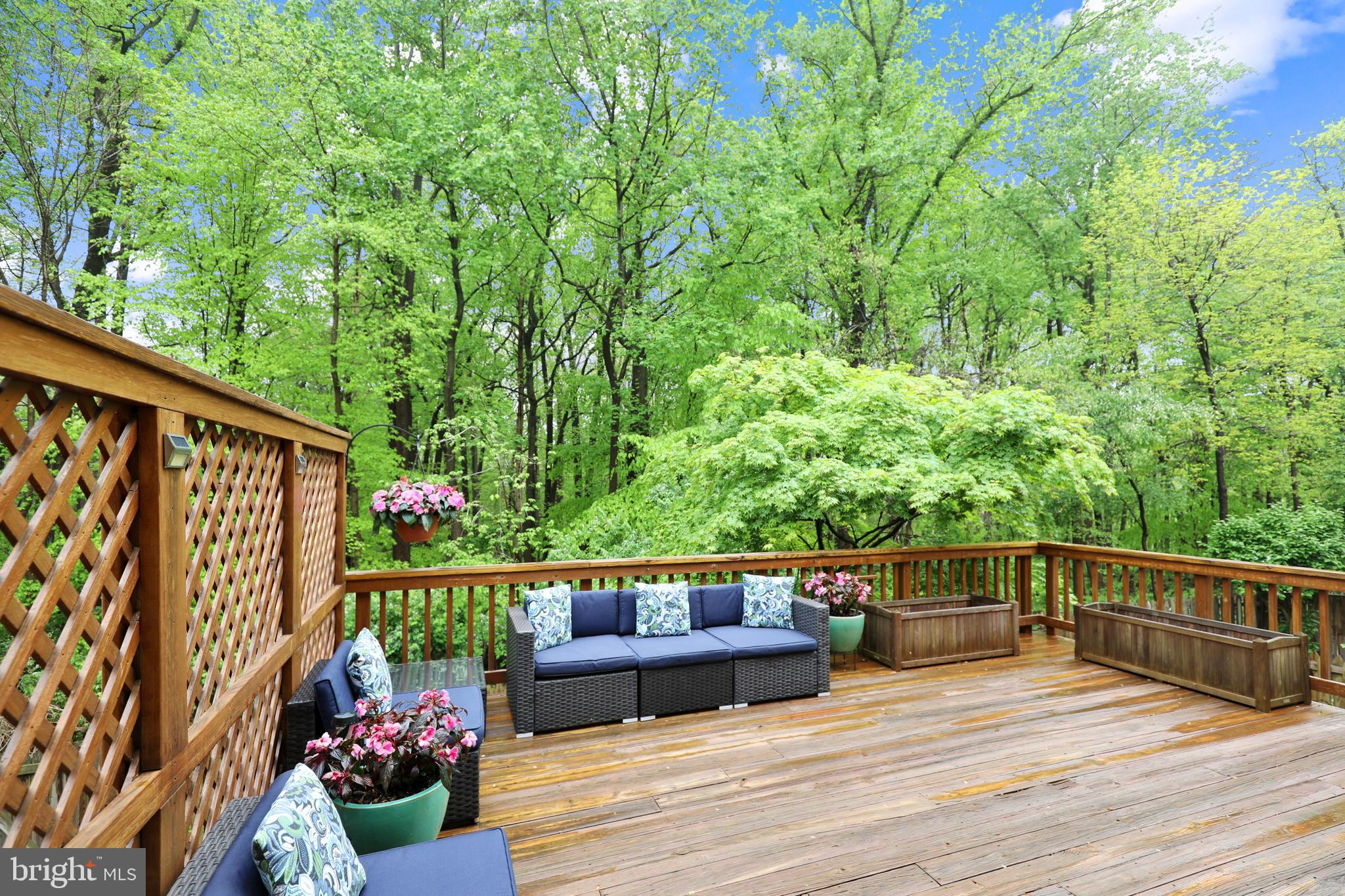 7216 Greentree Road Bethesda, MD 20817 - Photo 9 of 43 Gallery Image 9