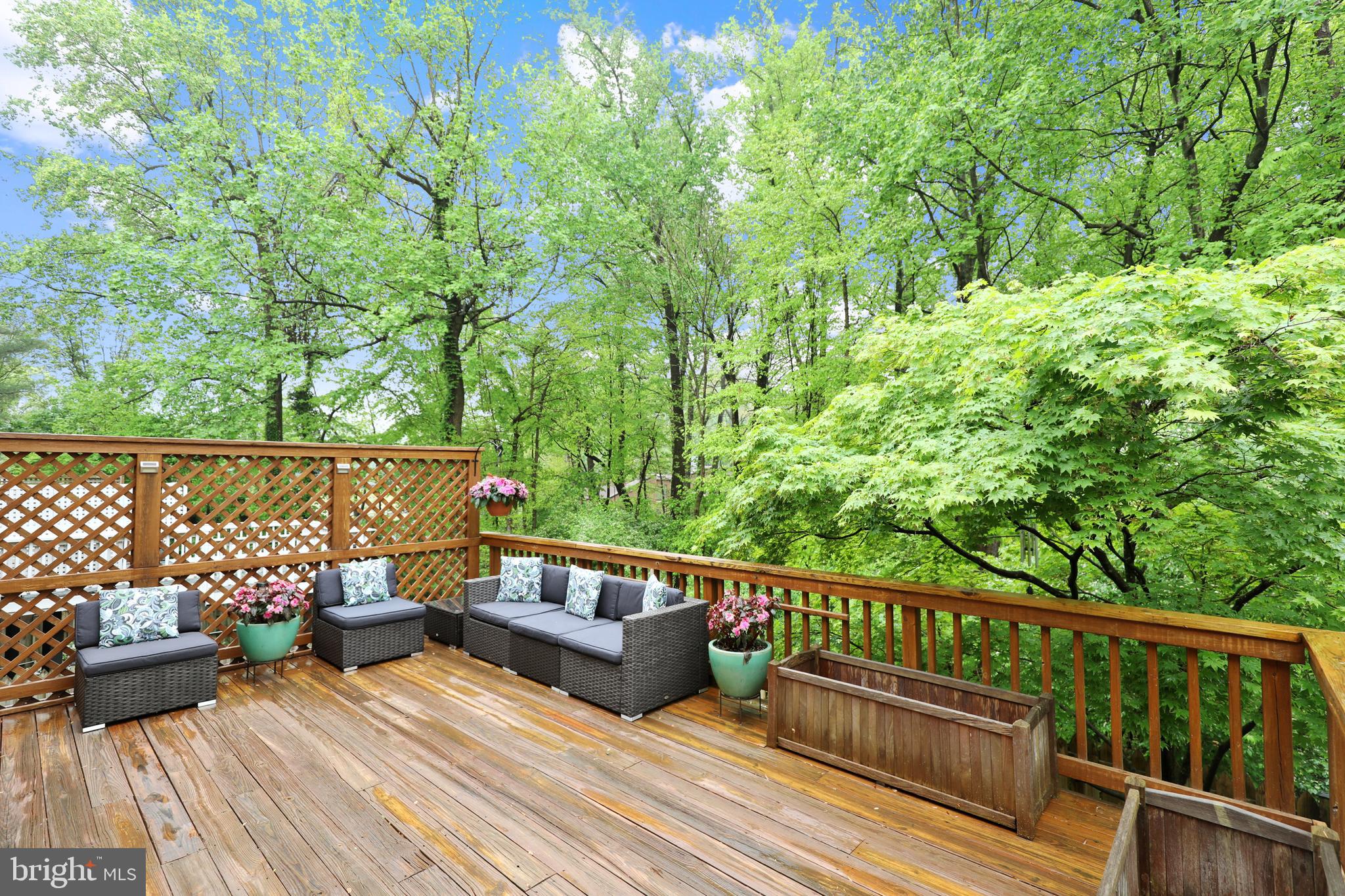 7216 Greentree Road Bethesda, MD 20817 - Photo 10 of 43 Gallery Image 10