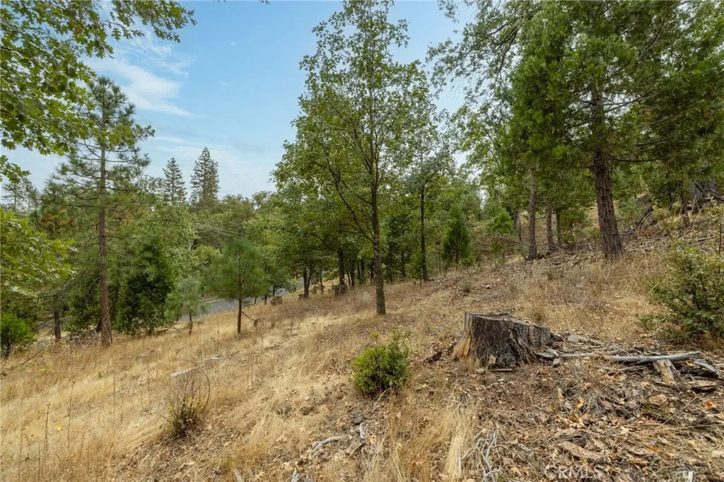 26 Timberview Road North Fork, CA 93643 - Photo 49 of 60