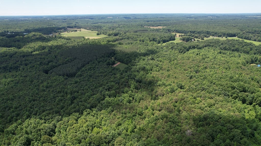 0 Mitchell Road, Unit 2 Pamplin, VA 23958 - Photo 11 of 14 Gallery Image 11