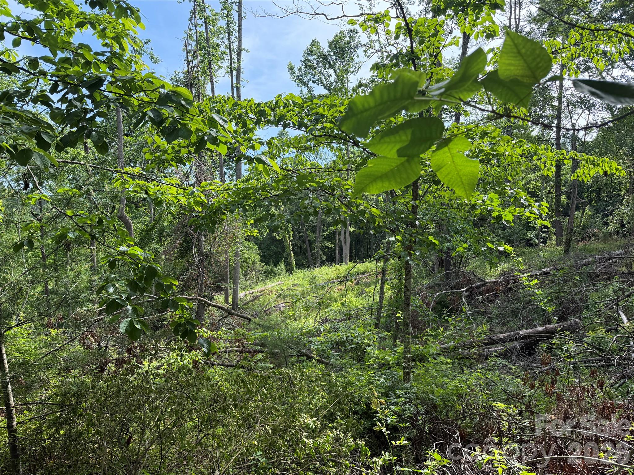 351 Mag Sluder Road Alexander, NC 28701 - Photo 42 of 48
