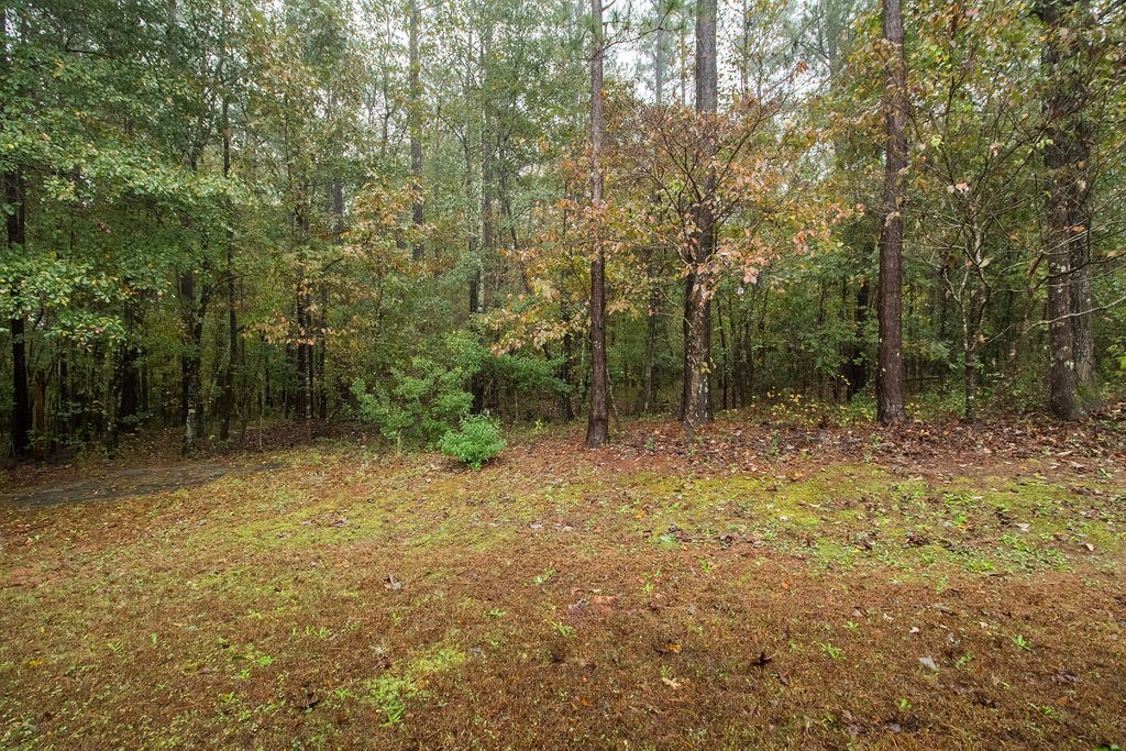 352 Autumn Ridge Trail Gray, GA 31032 - Photo 36 of 36 a view of outdoor space and trees