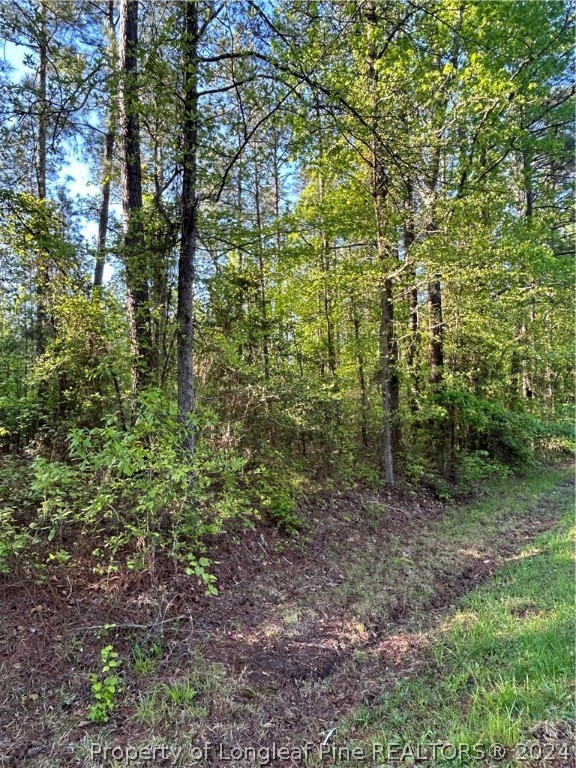 4055 Niagara Carthage Road Whispering Pines, NC 28327 - Photo 6 of 6 a view of a lush green forest