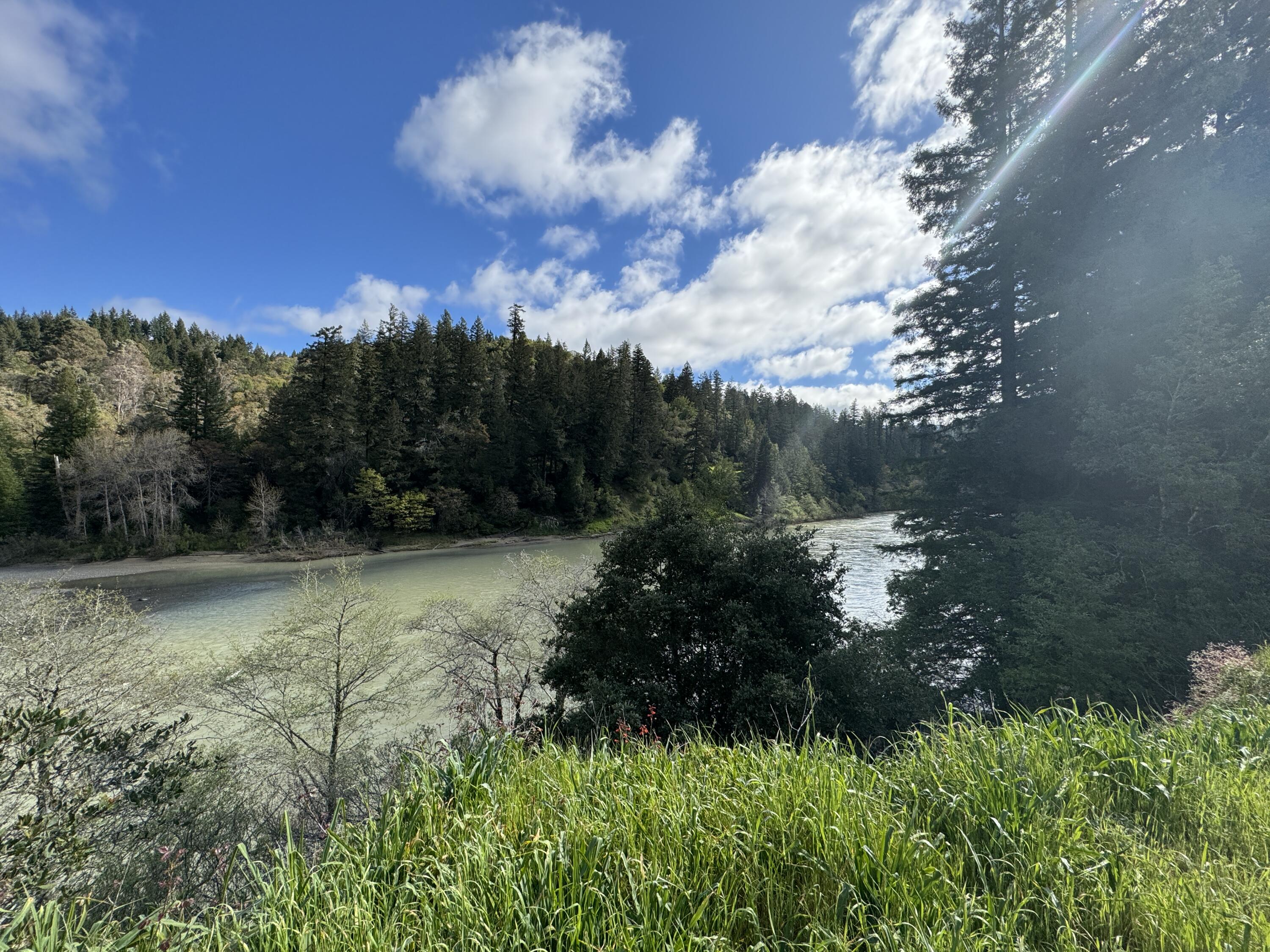 17 Bear Butte Road Miranda, CA 95553 - Photo 13 of 14