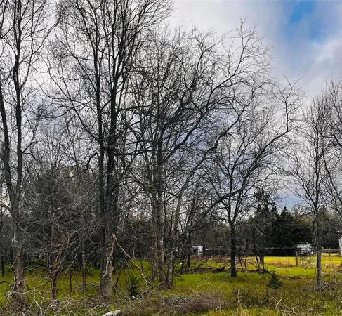 $25,000 | Tbd Railroad Road, Somerville, TX 77879