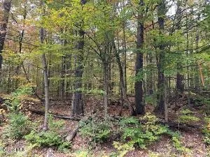 $89,000 | 953 Warner Hill Road, Ticonderoga, NY 12883