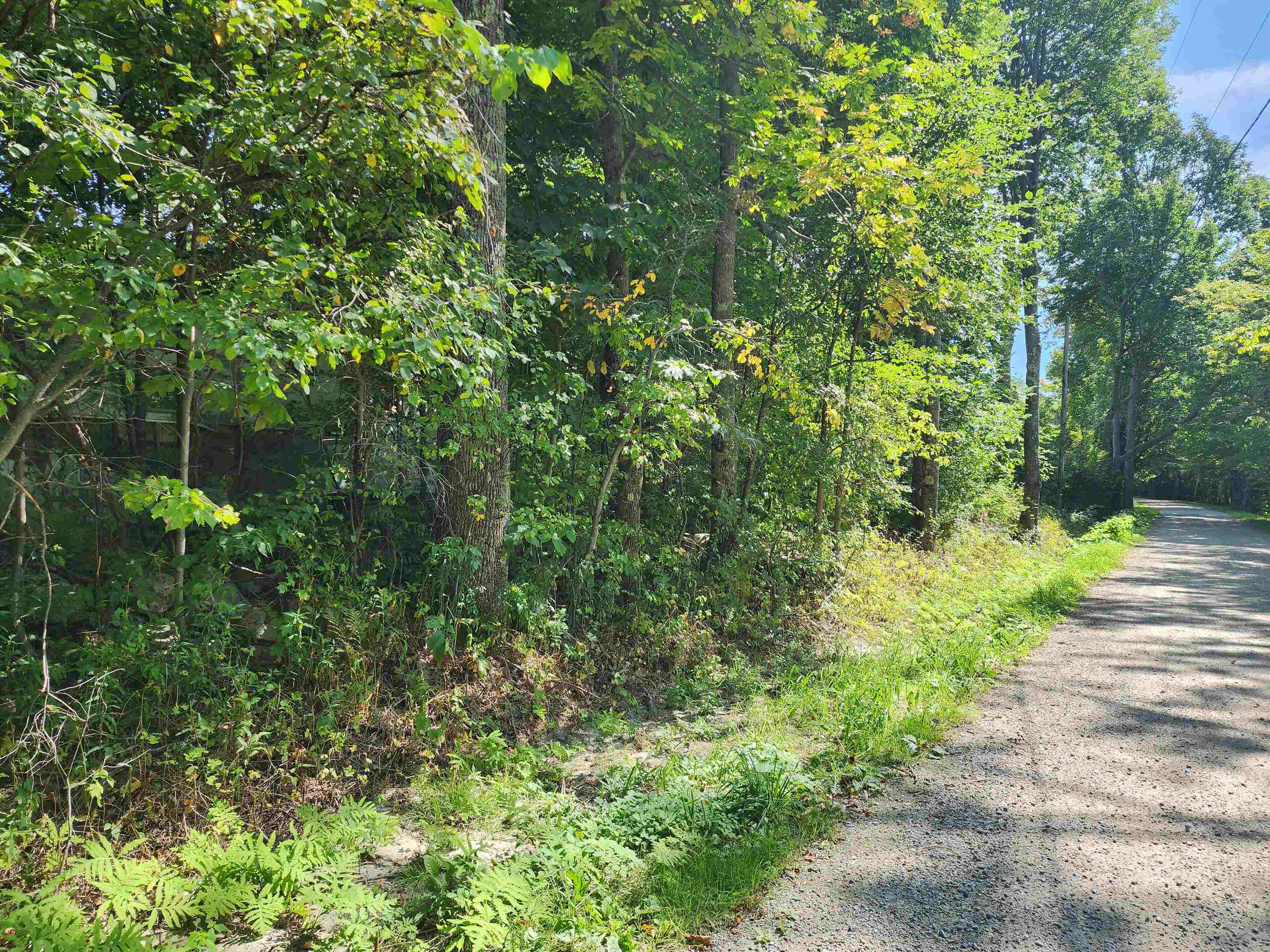 304 Cobb Road Andover, VT 05143 - Photo 1 of 1