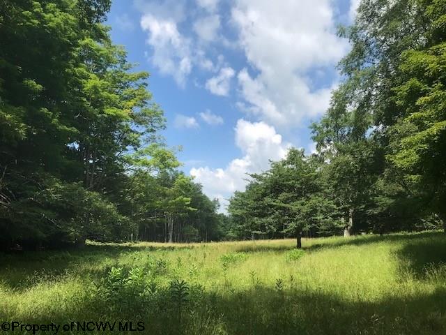 Lot 21 Deer Ridge Davis, WV 26260 - Photo 2 of 16 Gallery Image 2