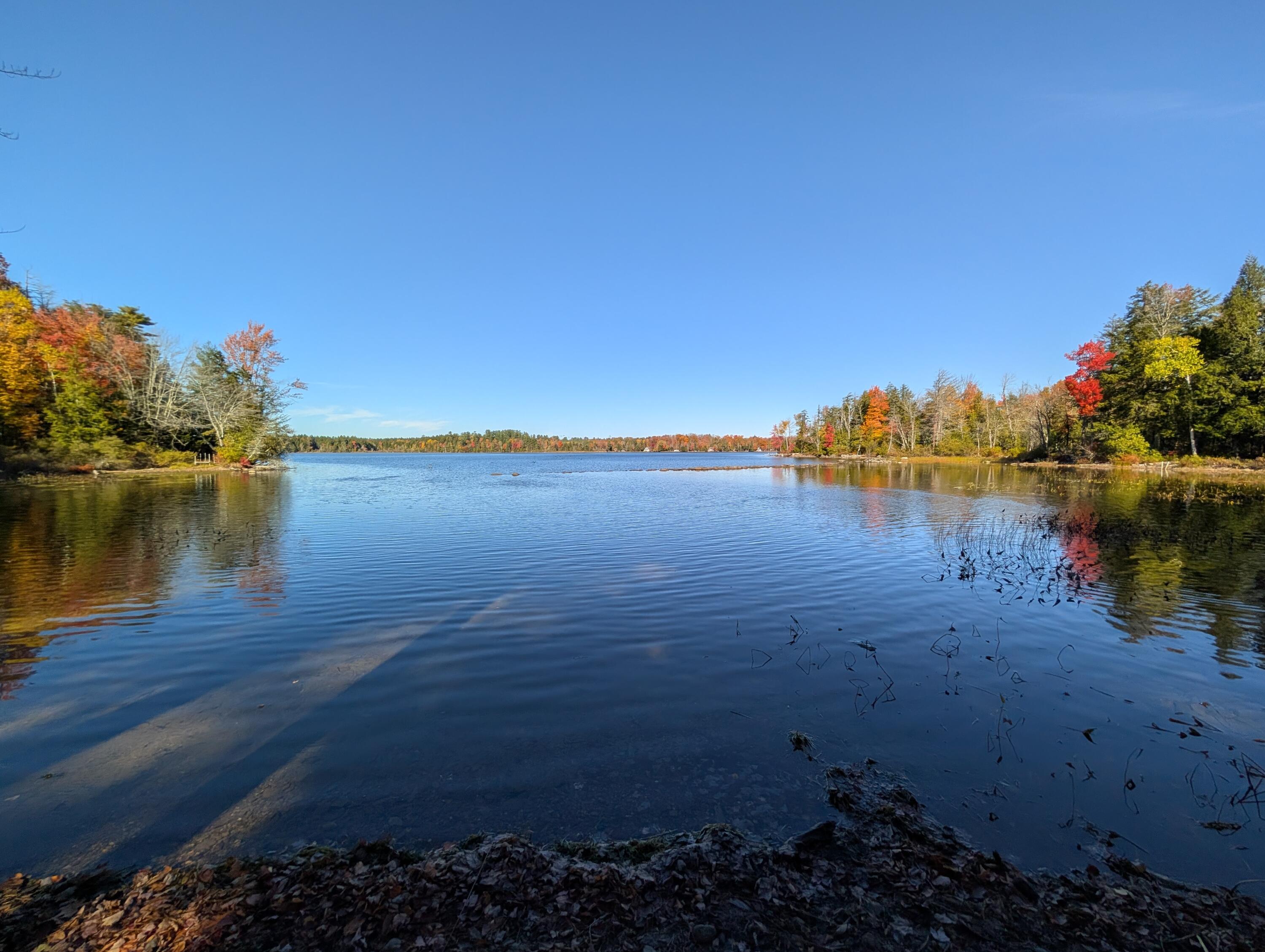 137 Loon Cove Road Stetson, ME 04488 - Photo 1 of 45 Fall Waterfront