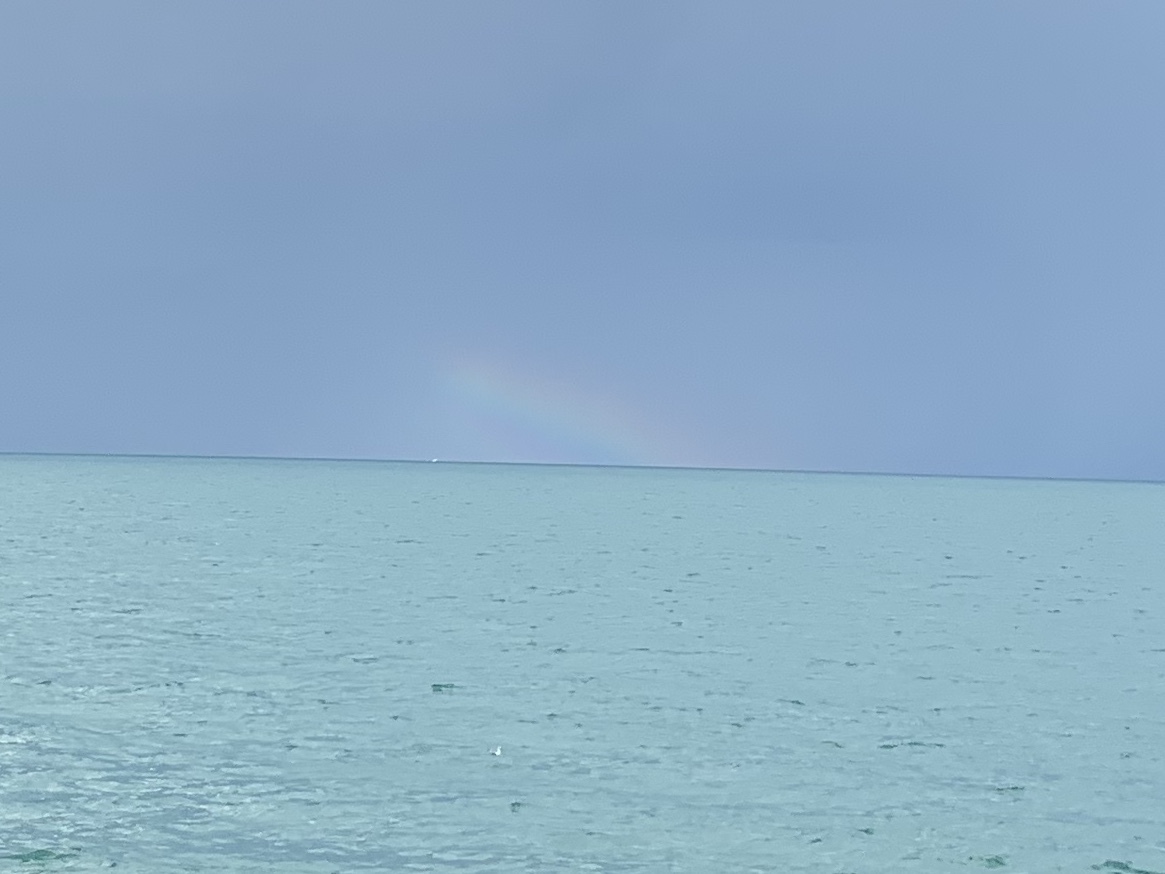 7742 North Sheridan Road, Unit 1L Chicago, IL 60626 - Photo 5 of 40 a view of an ocean