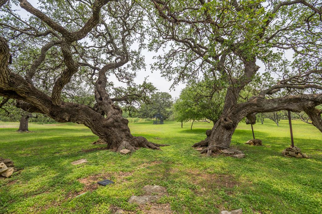 352 Pfeiffer Road Fredericksburg, TX 78624 - Photo 23 of 65