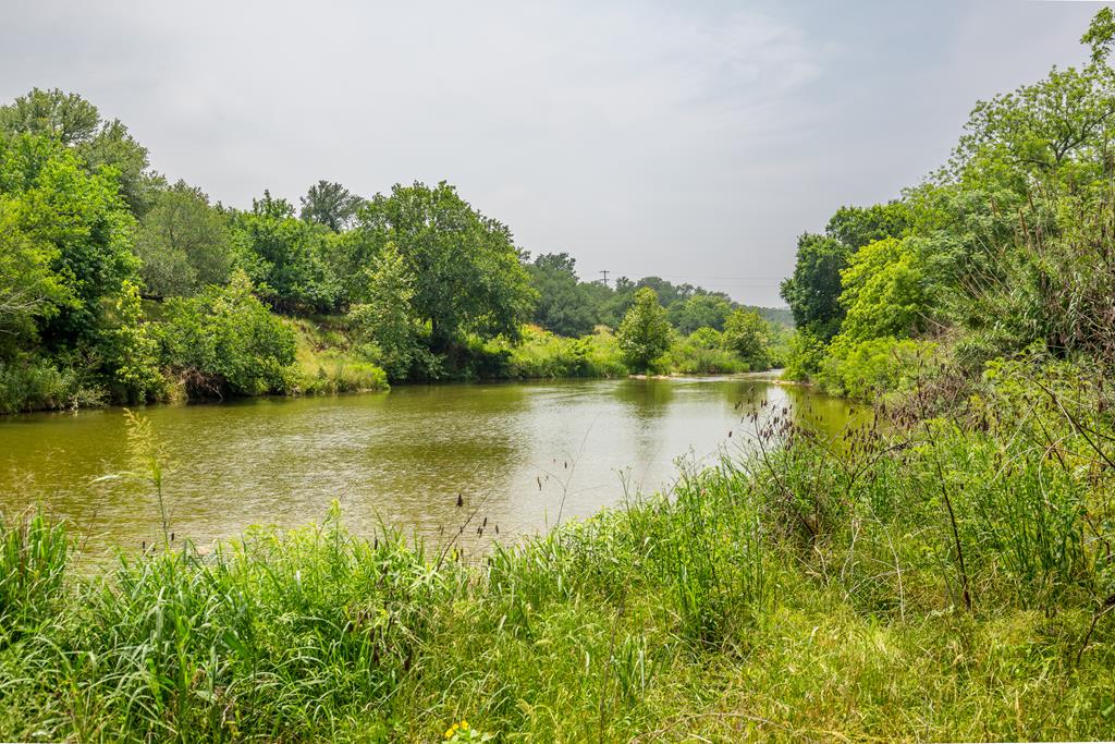 352 Pfeiffer Road Fredericksburg, TX 78624 - Photo 4 of 65