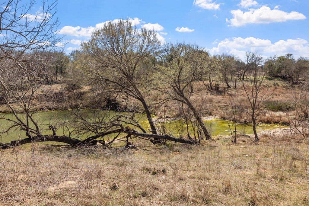352 Pfeiffer Road Fredericksburg, TX 78624 - Photo 48 of 65