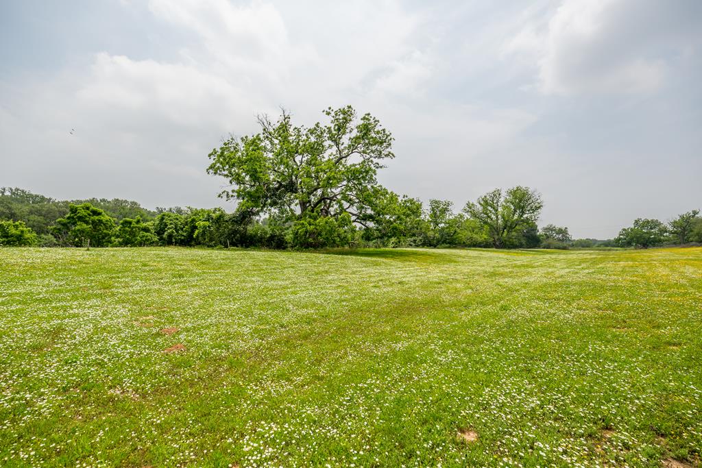 352 Pfeiffer Road Fredericksburg, TX 78624 - Photo 57 of 65