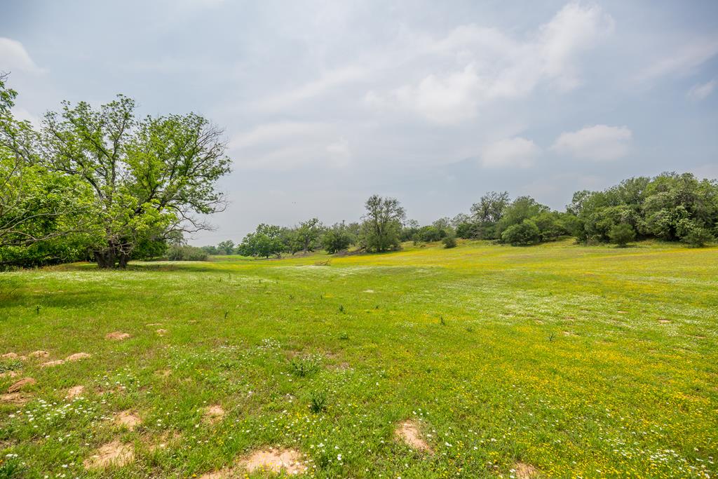 352 Pfeiffer Road Fredericksburg, TX 78624 - Photo 58 of 65