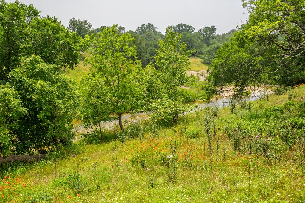 352 Pfeiffer Road Fredericksburg, TX 78624 - Photo 59 of 65