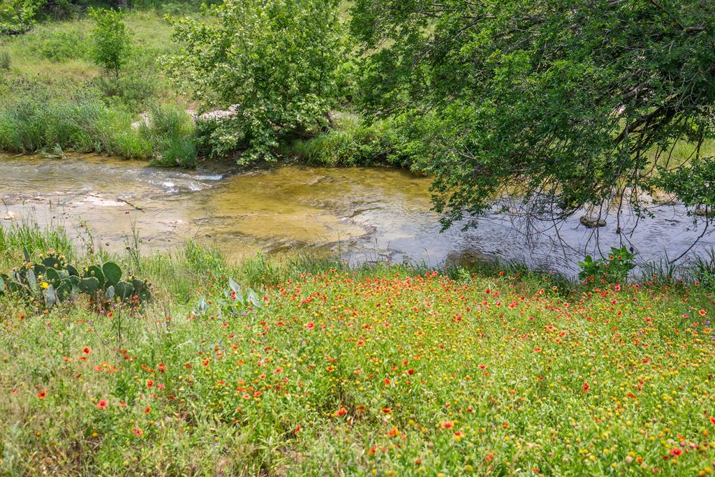 352 Pfeiffer Road Fredericksburg, TX 78624 - Photo 60 of 65
