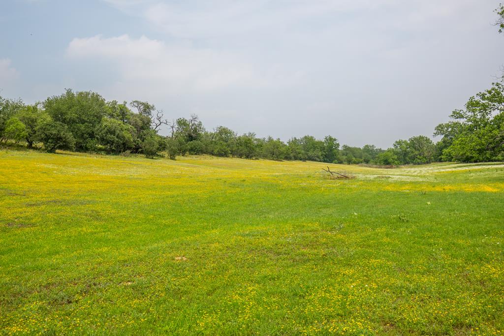 352 Pfeiffer Road Fredericksburg, TX 78624 - Photo 61 of 65