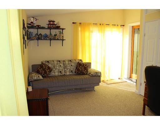 50 Mary Ellen Road Newton, MA 02468 - Photo 17 of 22 a living room with a couch and a window