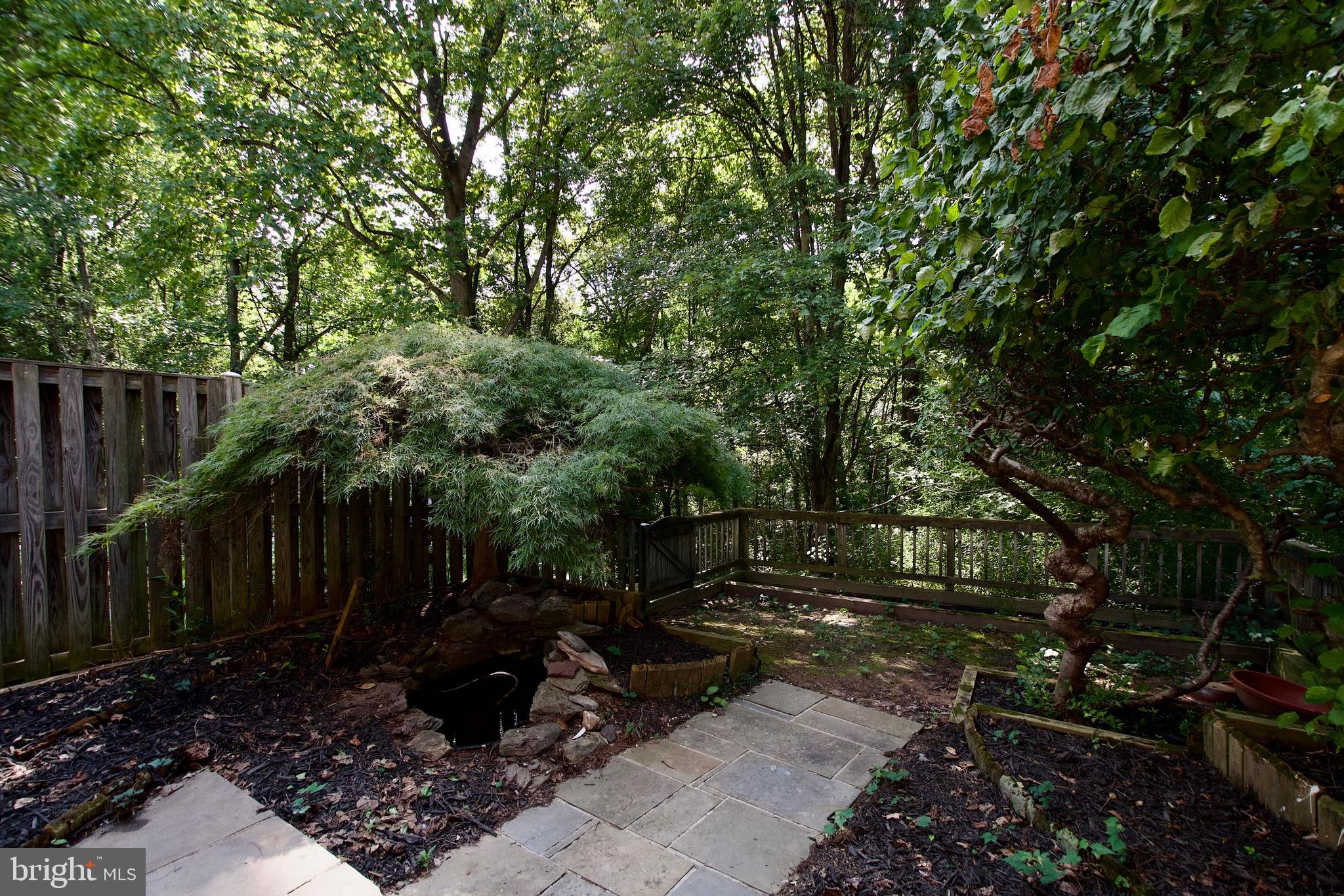 5735 Mason Bluff Drive Burke, VA 22015 - Photo 40 of 43 Back Yard