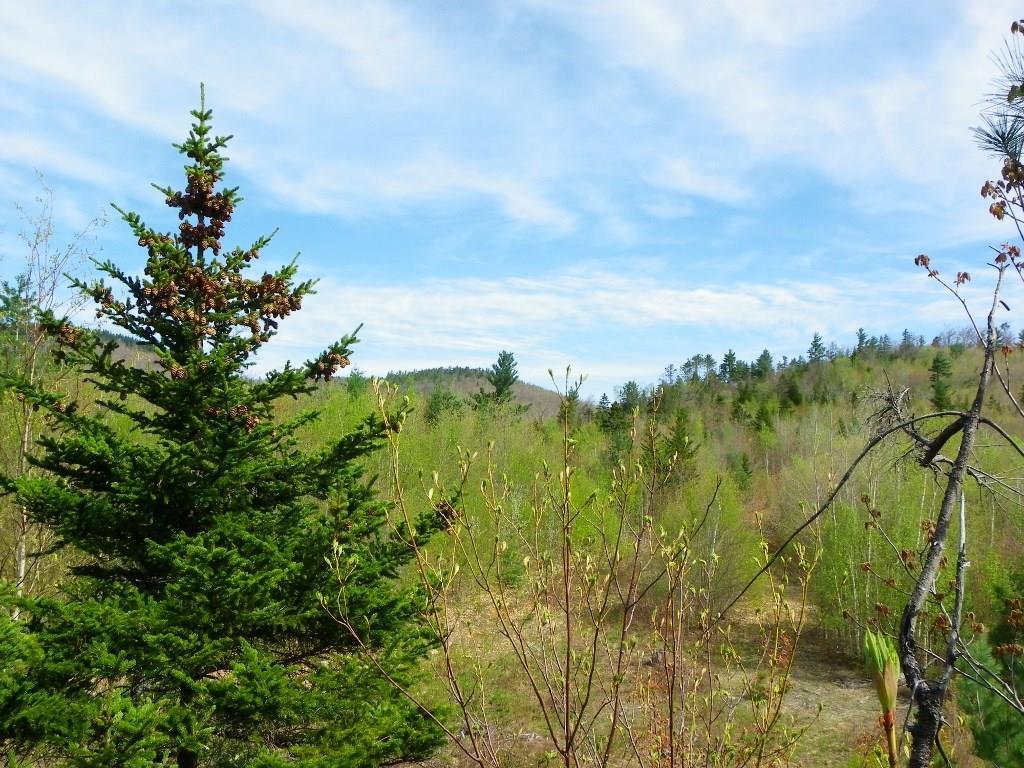 689 N Road Bethel, ME 04217 - Photo 29 of 32 Photo
