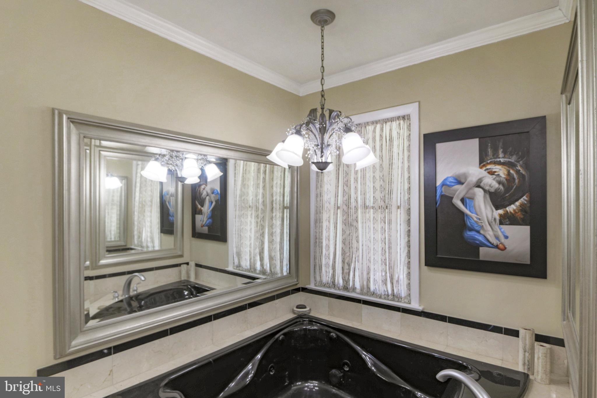 41 Wood Landing Road Fredericksburg, VA 22405 - Photo 32 of 79 Jetted Tub