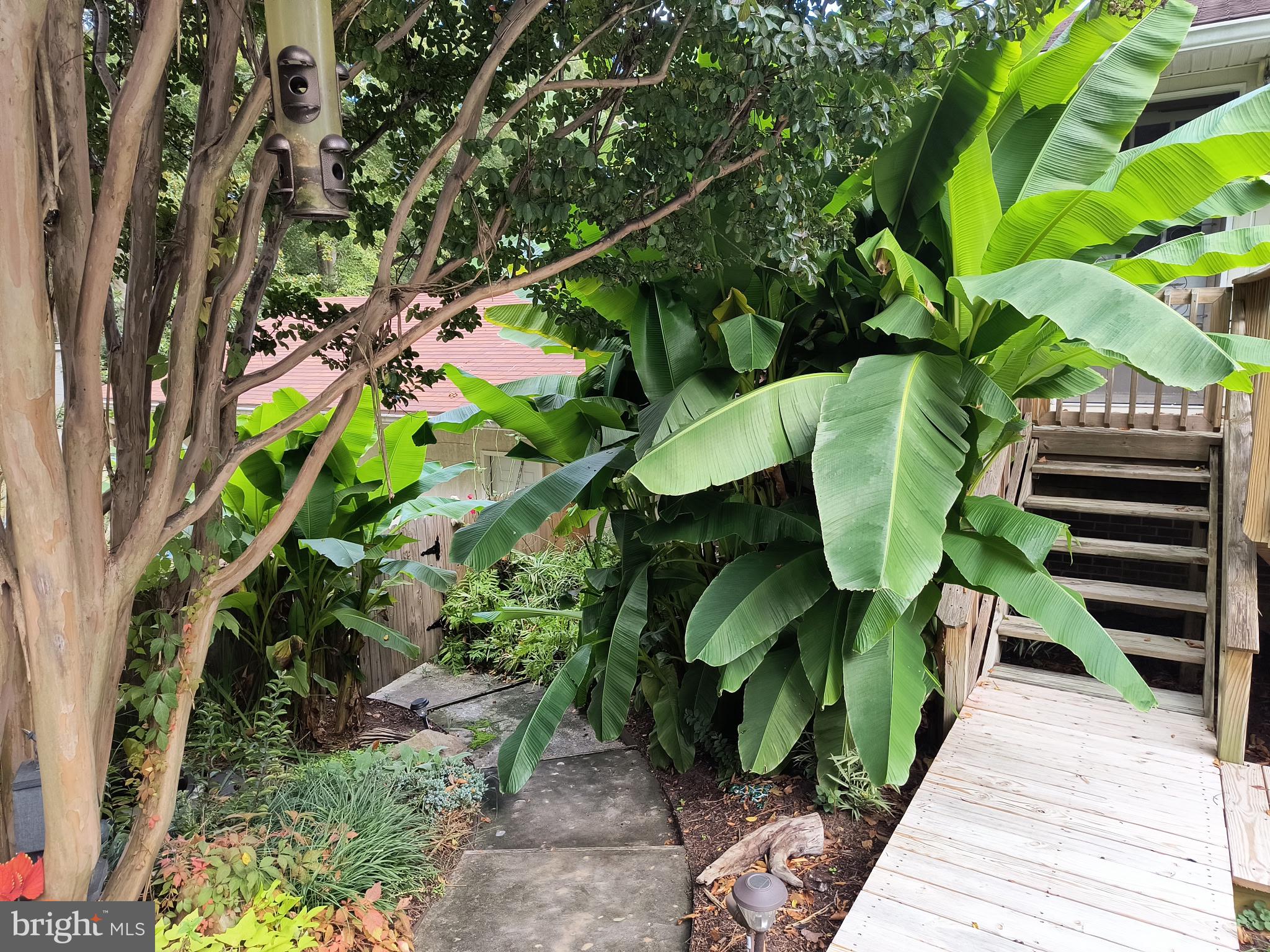 41 Wood Landing Road Fredericksburg, VA 22405 - Photo 51 of 79 a plant with lots of trees