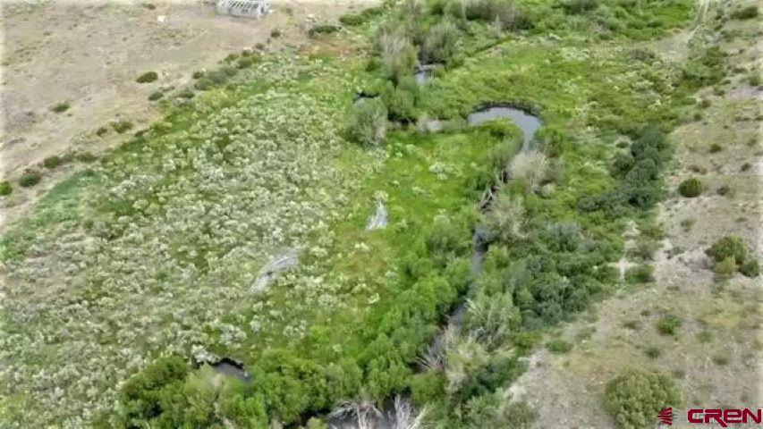 406 Canyon Road Antonito, CO 81120 - Photo 12 of 16 a view of a lush green forest with large trees