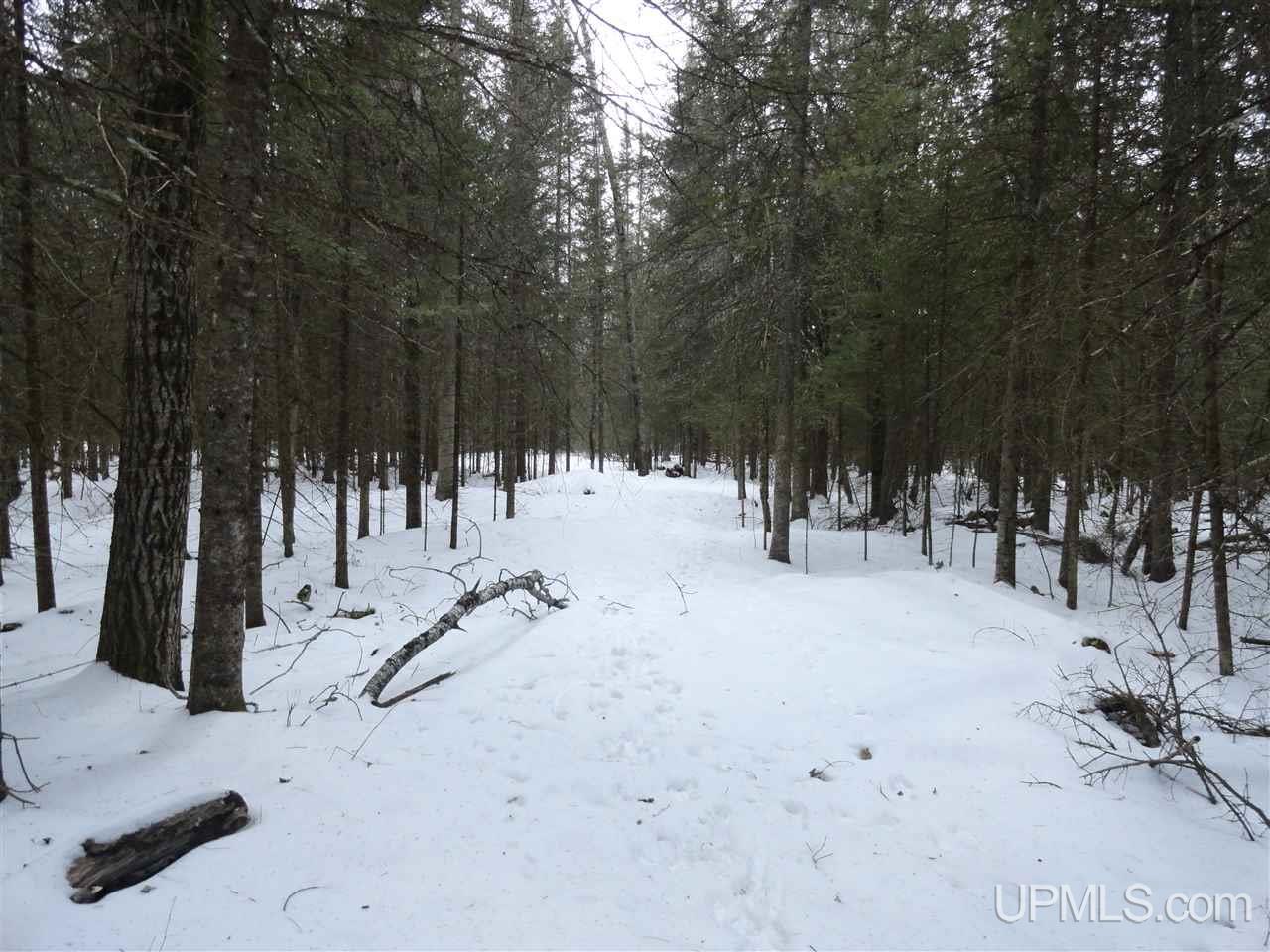 416 (23rd Road Gladstone, MI 49837 - Photo 27 of 36