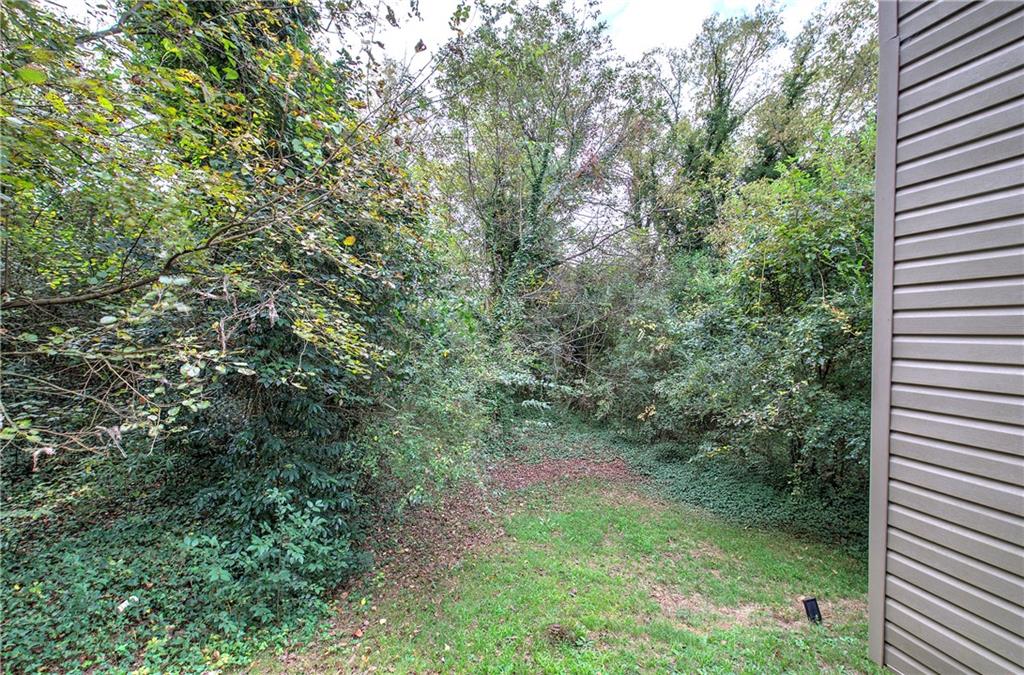 105 Mary Street Rome, GA 30161 - Photo 14 of 15 a view of a forest with a tree