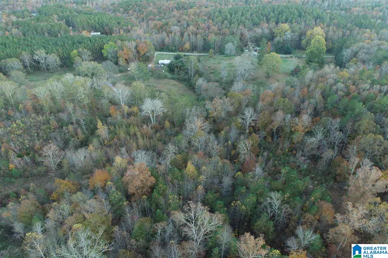 82 County Road Lineville, AL 36266 - Photo 3 of 4