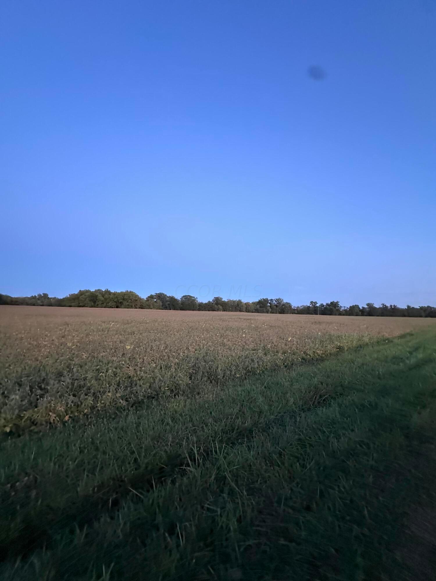 0 Decliff Road North Morral, OH 43337 - Photo 1 of 1 IMG_1482