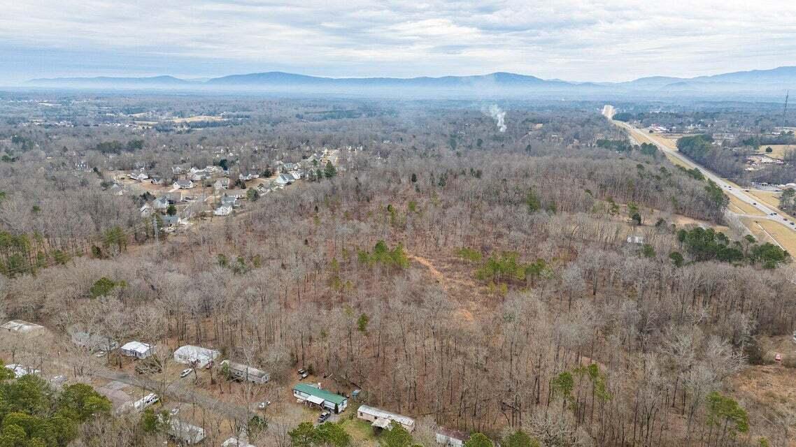 20250131235700312168000000-o