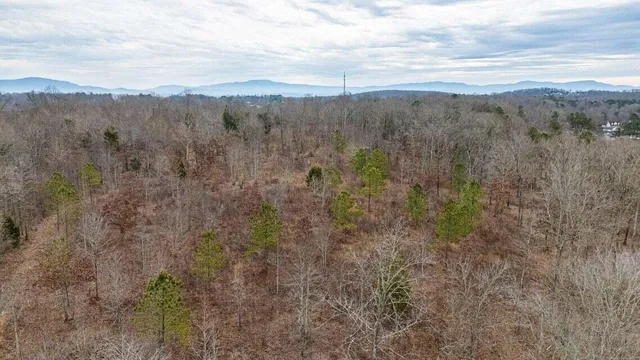 $1,650,000 | 0 Waterlevel Highway, Cleveland, TN 37323