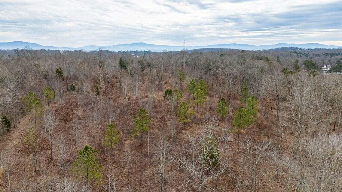 0 Waterlevel Highway Cleveland, TN 37323 - Photo 29 of 32 20250131235838639545000000-o