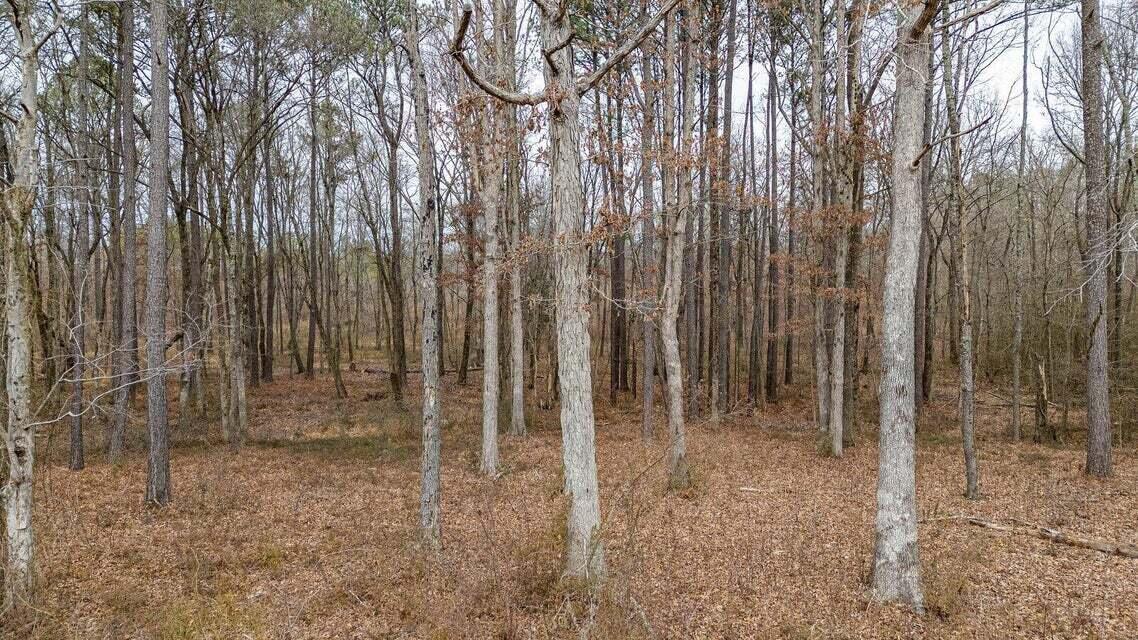 0 Waterlevel Highway Cleveland, TN 37323 - Photo 10 of 32 20250131235730021090000000-o