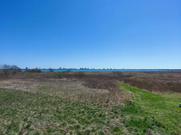 a view of a field with an trees