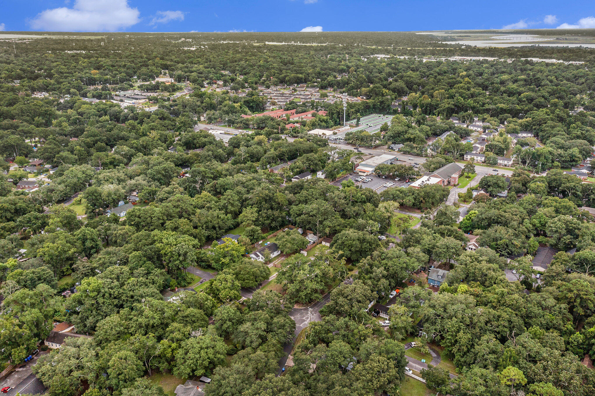 1249 Wisteria Road Charleston, SC 29407 - Photo 31 of 31 029_dji_0046