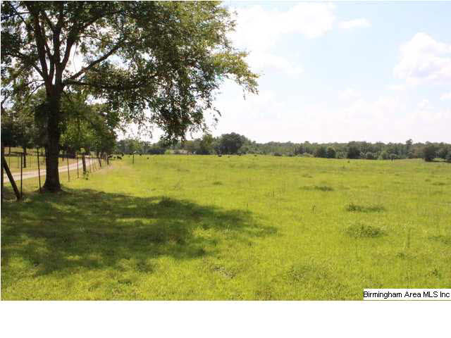 Mudd Street Lincoln, AL 35096 - Photo 26 of 32